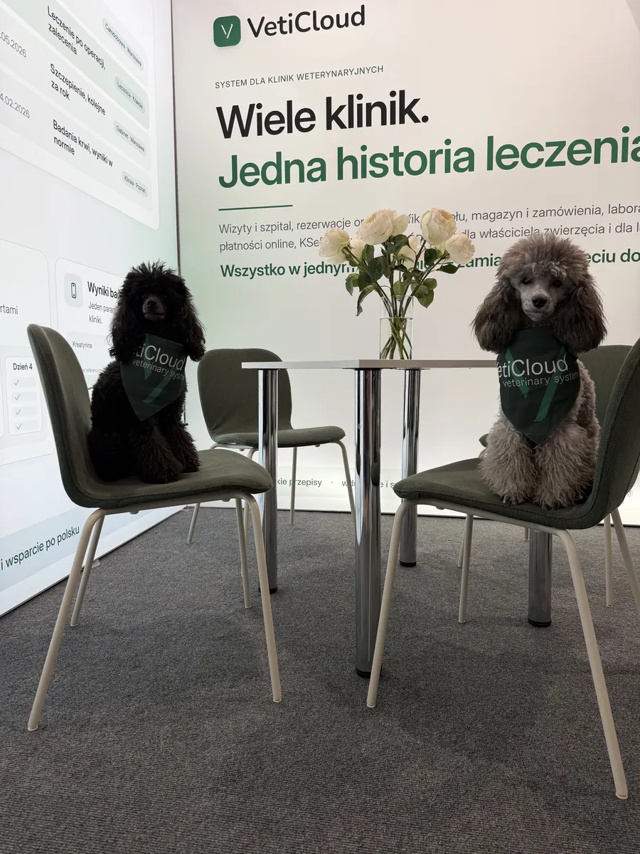 Dwa pudle w zielonych chustach VetiCloud na krzesłach przy stoliku na stoisku VetiCloud